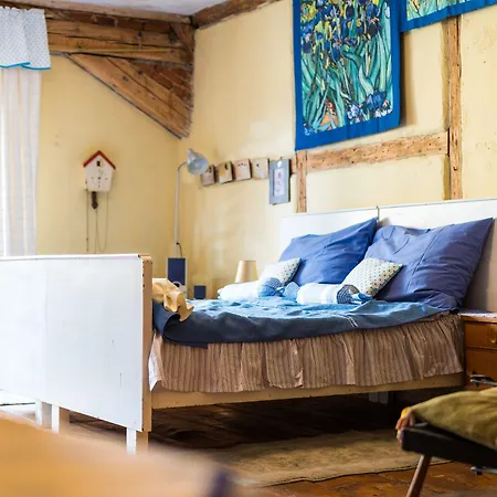 Guest house Dum V Centru