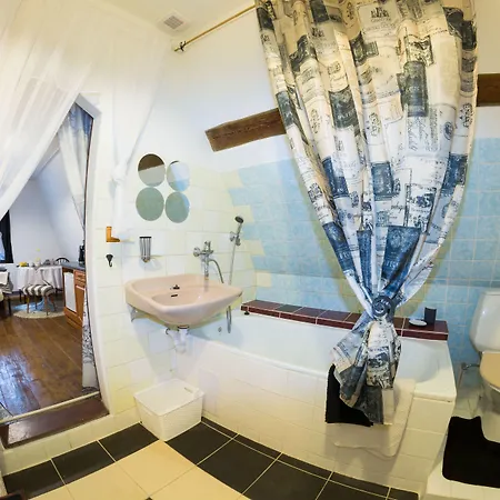 Guest house Dum V Centru