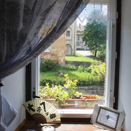 Guest house Dum V Centru